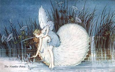 <tt>The Nautilus Fairy by Ida Rentoul Outhwaite</tt>