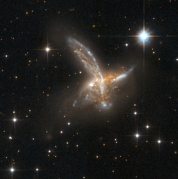 wild cross galaxy