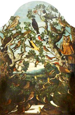 <tt>Birds of Britain A Concert of Song Birds in Two Trees Watched by an Owl - painted onto a window shutter</tt>