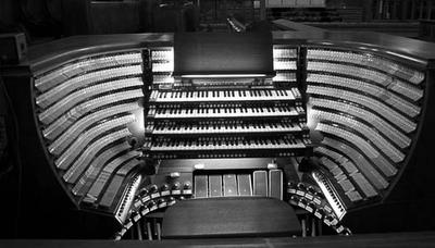 <tt>Eric Ortner @ freeimages.com</tt>