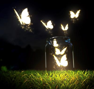 <tt>Jar of butterflies by Vadmary via Istock</tt>